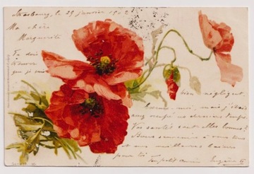 SECESJA Kwiaty Maki 1902r. Litografia   894E