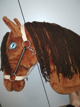 Hobby horse konik