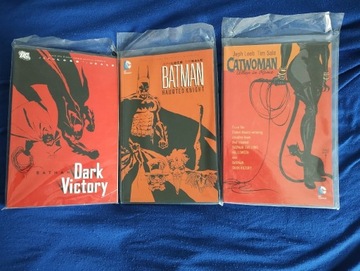 Batman Dark Victory, Haunted Knight, Catwoman
