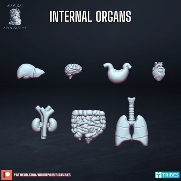 Internal Organs  - bitsy/ozdoby,