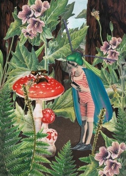 Plakat Bajka Amanita Muscaria Muchomor czerwony