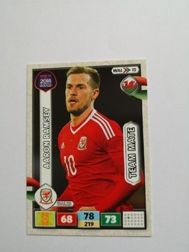 Road to Russia 2018 Aaron Ramsey team mate