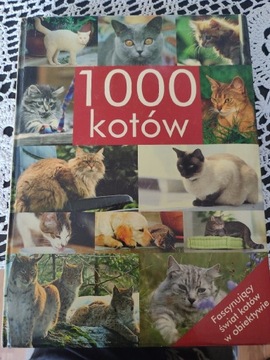 1000 kotów - fascynujący świat kotów KSIĄŻKA 