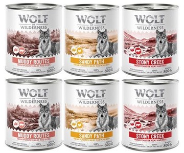 Wolf of wilderness SENIOR 6x800g MIX SMAKOWY 