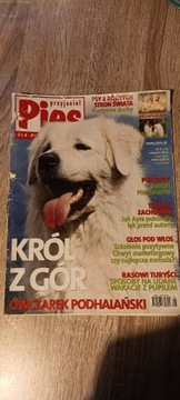 Przyjaciel pies czasopismo miesięcznik
