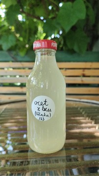 Ocet z bzu (lilaka) 300 ml