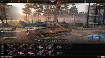 Konto World Of Tanks (10x, 49x Premium,BZ-176)