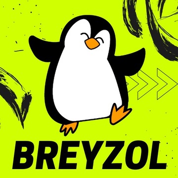 Coaching League of Legends LOL Trener Breyzol