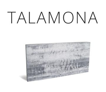 Kostka brukowa Talamona inverno platino argento 6