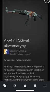 Skin CS2 AK-47 | Odwet akwamaryny