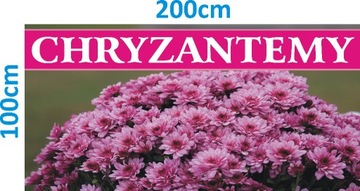 Baner reklama CHRYZANTEMY 200x100cm