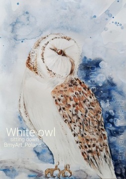 WHITE OWL,, fotoobraz 60x40 cm