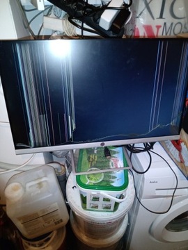 Monitor HP 24 fw