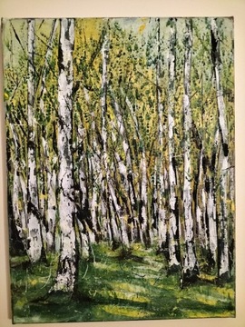 Obraz akrylowy 30x40cm lasek brzozowy birch forest