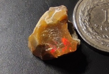 Opal Szlachetny z Etiopii |8,3ct| Mocna opalizacja