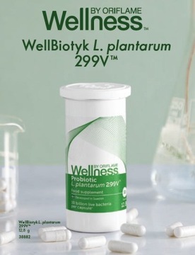 WellBiotyk L. plantarum 299V