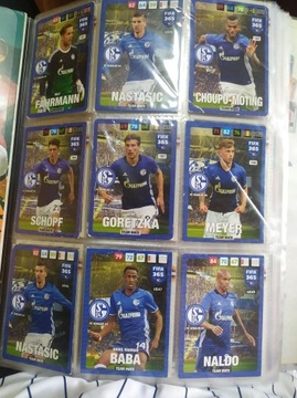 Pakiet 9 kart piłkarskich FC Schalke 04