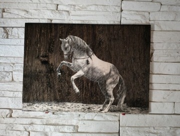 Wypalany obraz konia