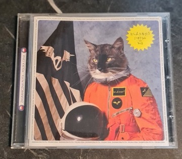 Płyta CD Klaxons: Surfing the Void