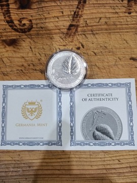 Liść lipy 1 oz, Germania Mint, Linden Leaf