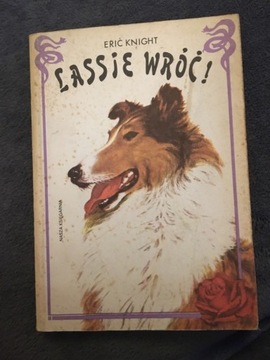 Lassie wróć!