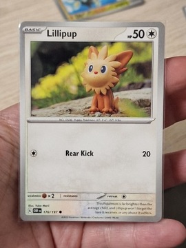 Karta pokemon Lillipup (OBF 170) Obsidian Flame 