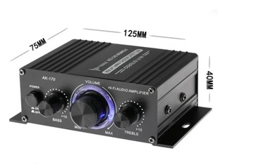 AK170 Mini Digital Power Audio wzmacniacz 