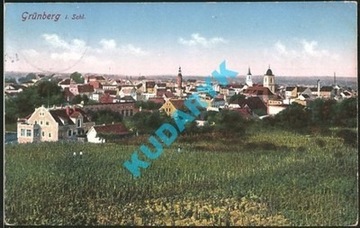 ZIELONA GÓRA Grunberg panorama winnica 1913