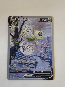 Karta Celebi V 245/264