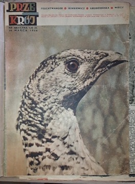 Czasopismo "Przekrój". Roczniki z lat 1954-1956