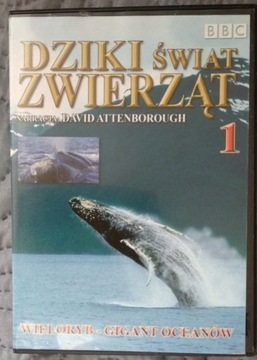 Dziki świat zwierząt Film DVD produkcja BBC