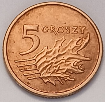 5 gr groszy 2003 r.