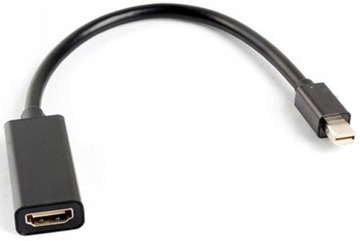 Adapter Lanberg AD-0005-BK mini DisplayPort DP (M)