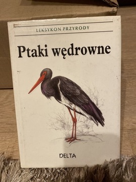 Ptaki wędrowne leksykon przyrody