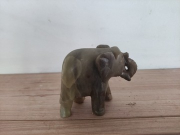 Słonik z Indii