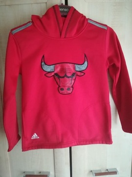 Oryginalna bluza adidas  Chicago bulls S