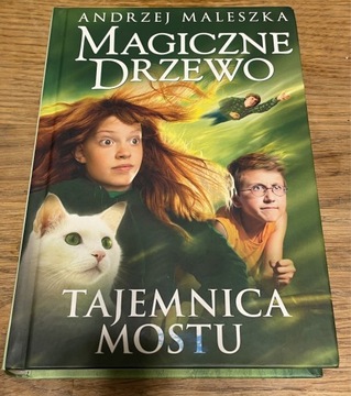 Andrzej Maleszka: Magiczne drzewo, Tajemnica mostu