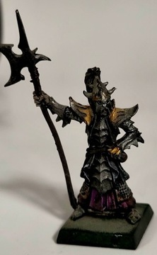 Warhammer Dark Elves - Black Guard of Naggaroth 11