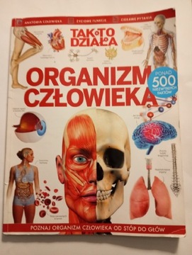 Organizm człowieka jak to działa