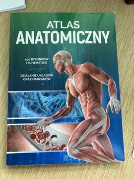 Atlas Anatomiczny Justyna Mazurek