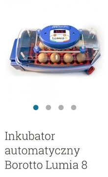 Inkubator Borotto Lumia 8 (automatyczny)