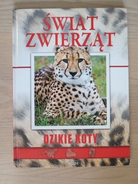 Świat zwierząt - dzikie koty