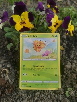 Karty pokemon Combee 011/189