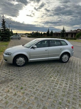 Audi A3 Audi A3 8P sportback 1.6 MPI 102 KM automat 