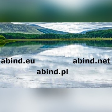 Pakiet domen abind.pl, abind.eu, abind.net