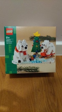 LEGO Classic - 40571 - Zimowe Niedźwiedzie Polarne