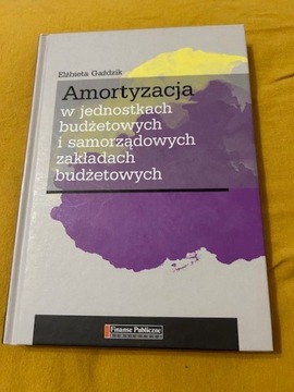 Amortyzacja, Finanse Publiczne 