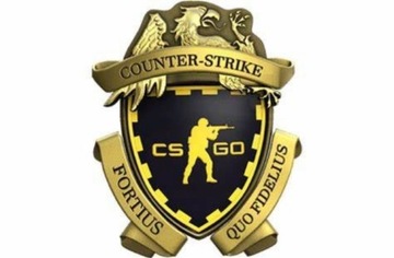 KONTO CS GO CSGO PRIME NA WŁASNOŚC PRIME CS2