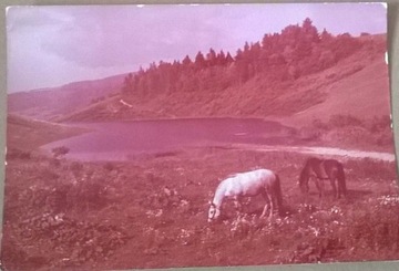 Bieszczady Stara Kartka Pocztowa 1970 rok