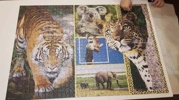 Puzzle 1000 elementów EKO Trefl Animal planet